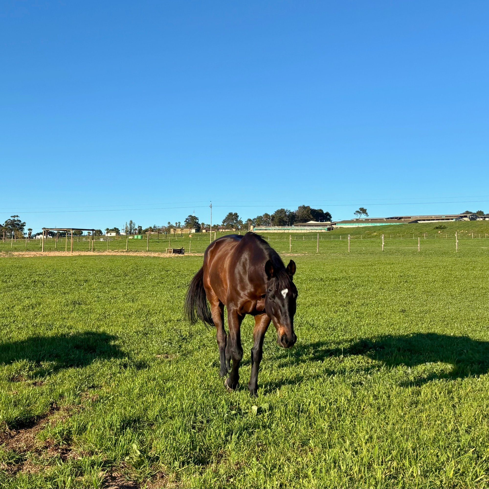 Life at Rivendale