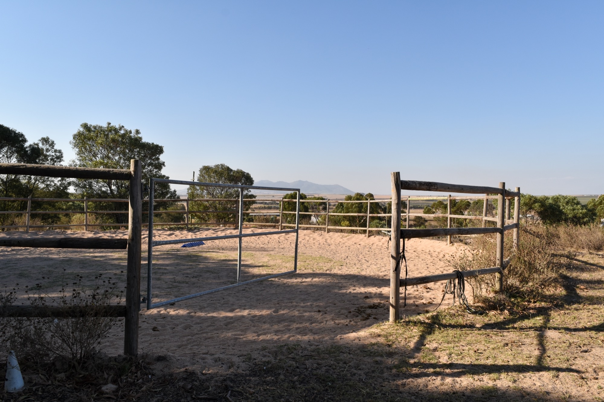 Life at Rivendale