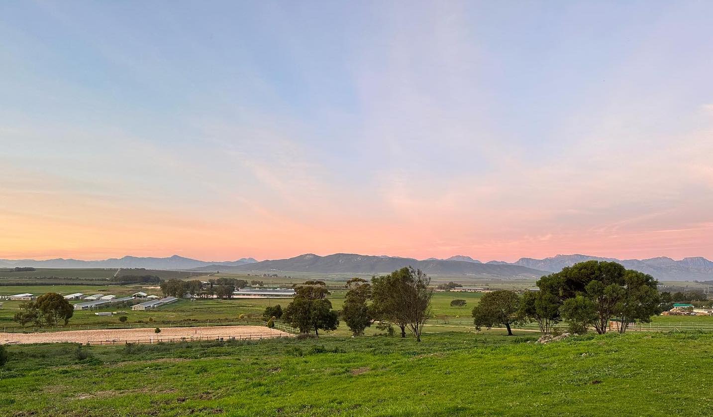 Rivendale Winelands Riding Club landscape