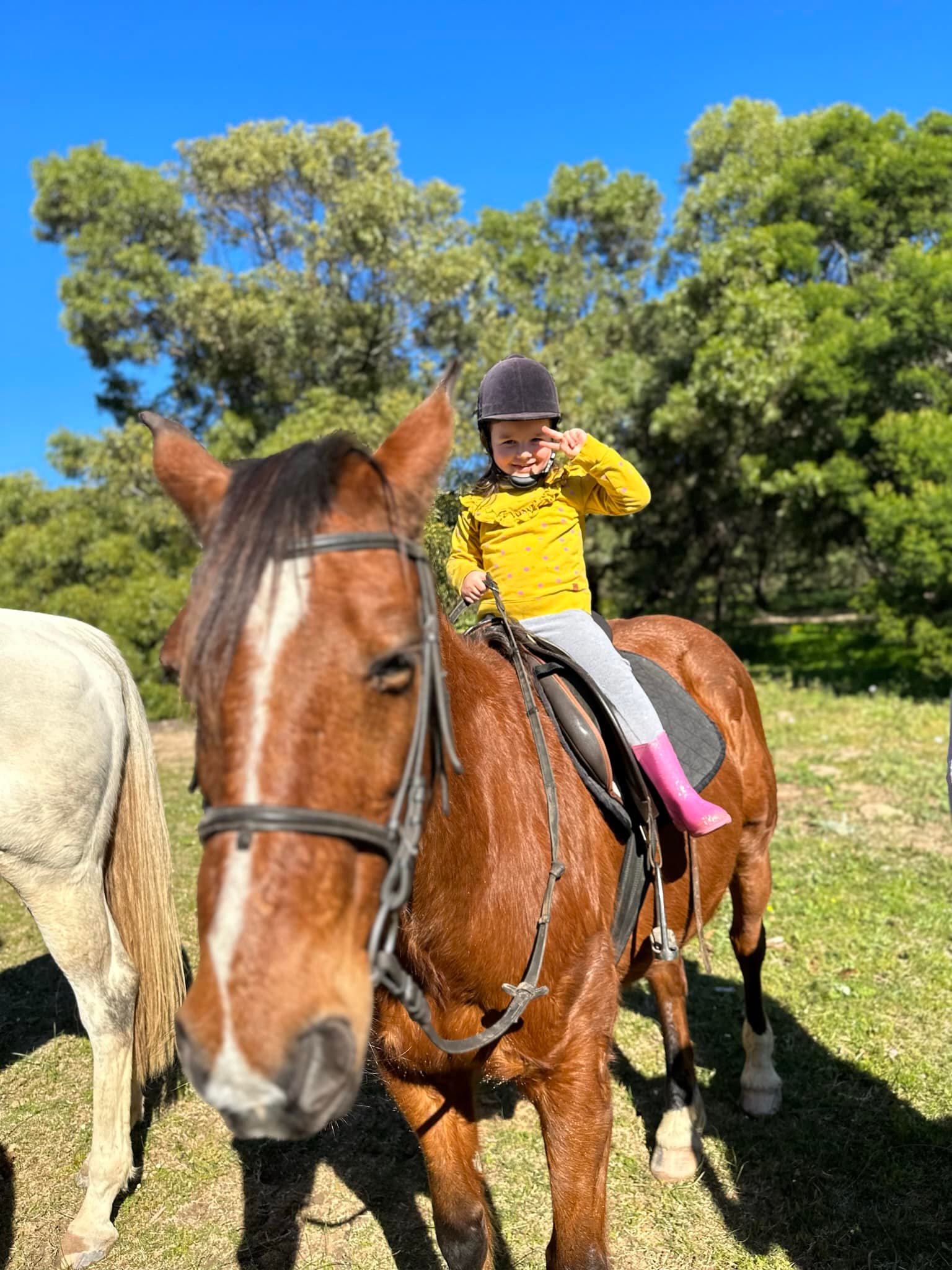 Forest rides and trail adventures