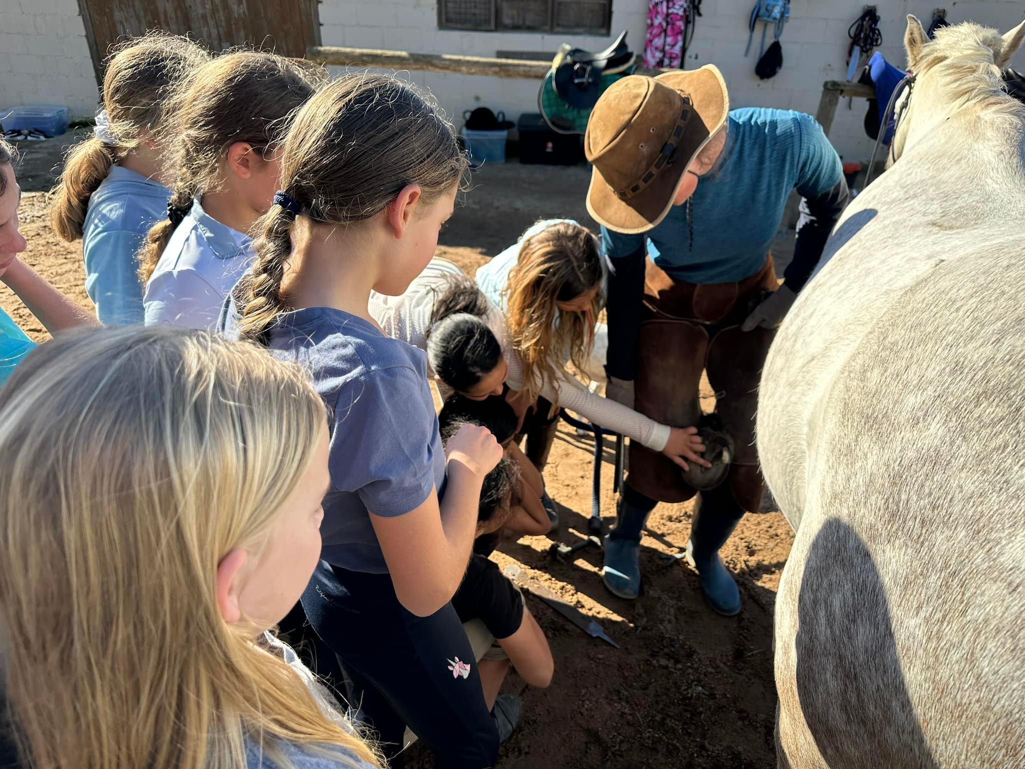 Learning horse care