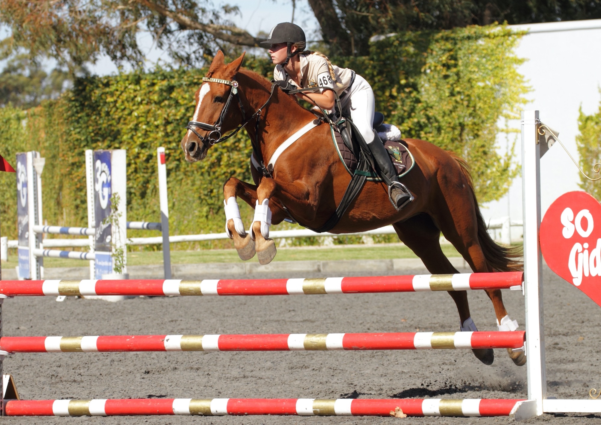Show jumping