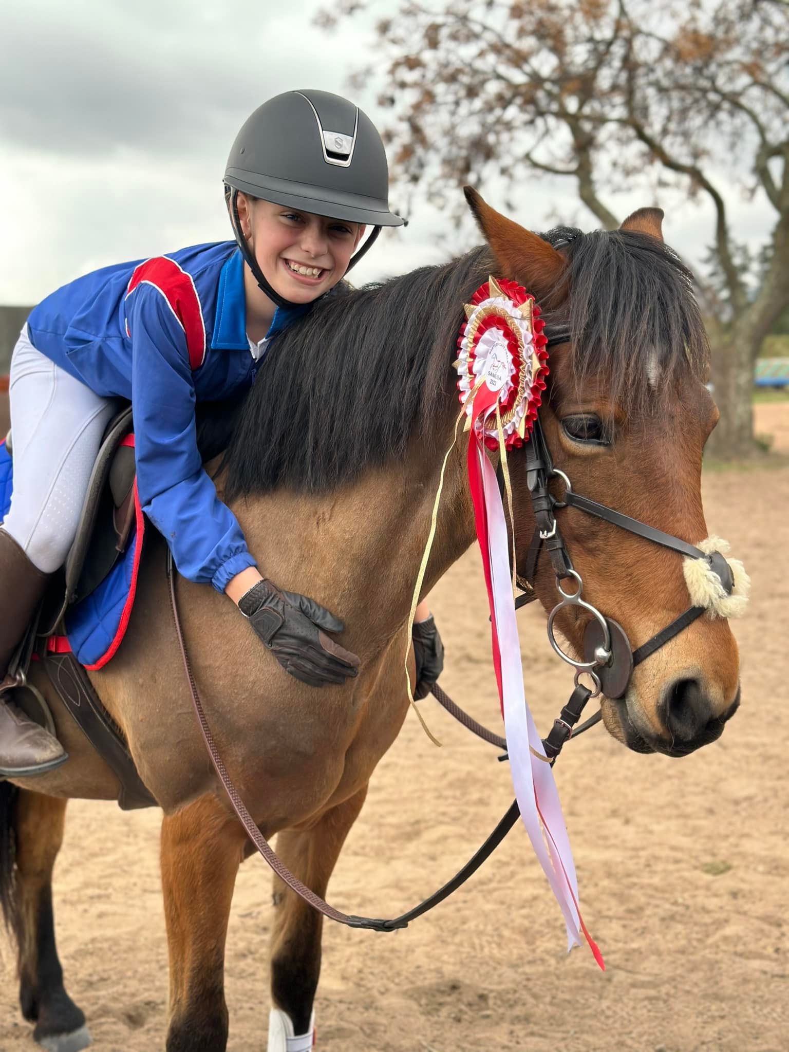 SANESA competition